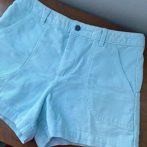 Patagonia Stand Up Shorts